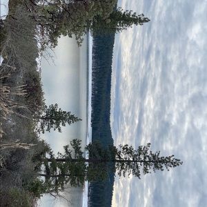 Meet your Posher, Kylie